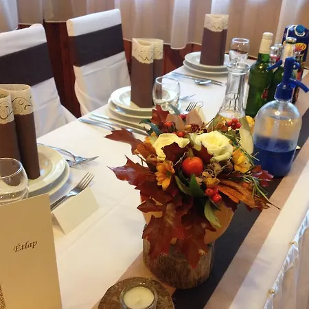 Vandor Vigado Отель типа 